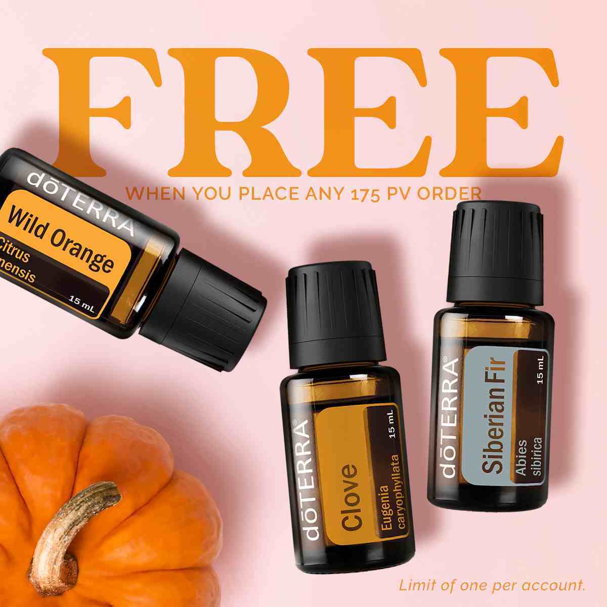 BOGO Bundle -8 Products FREE
