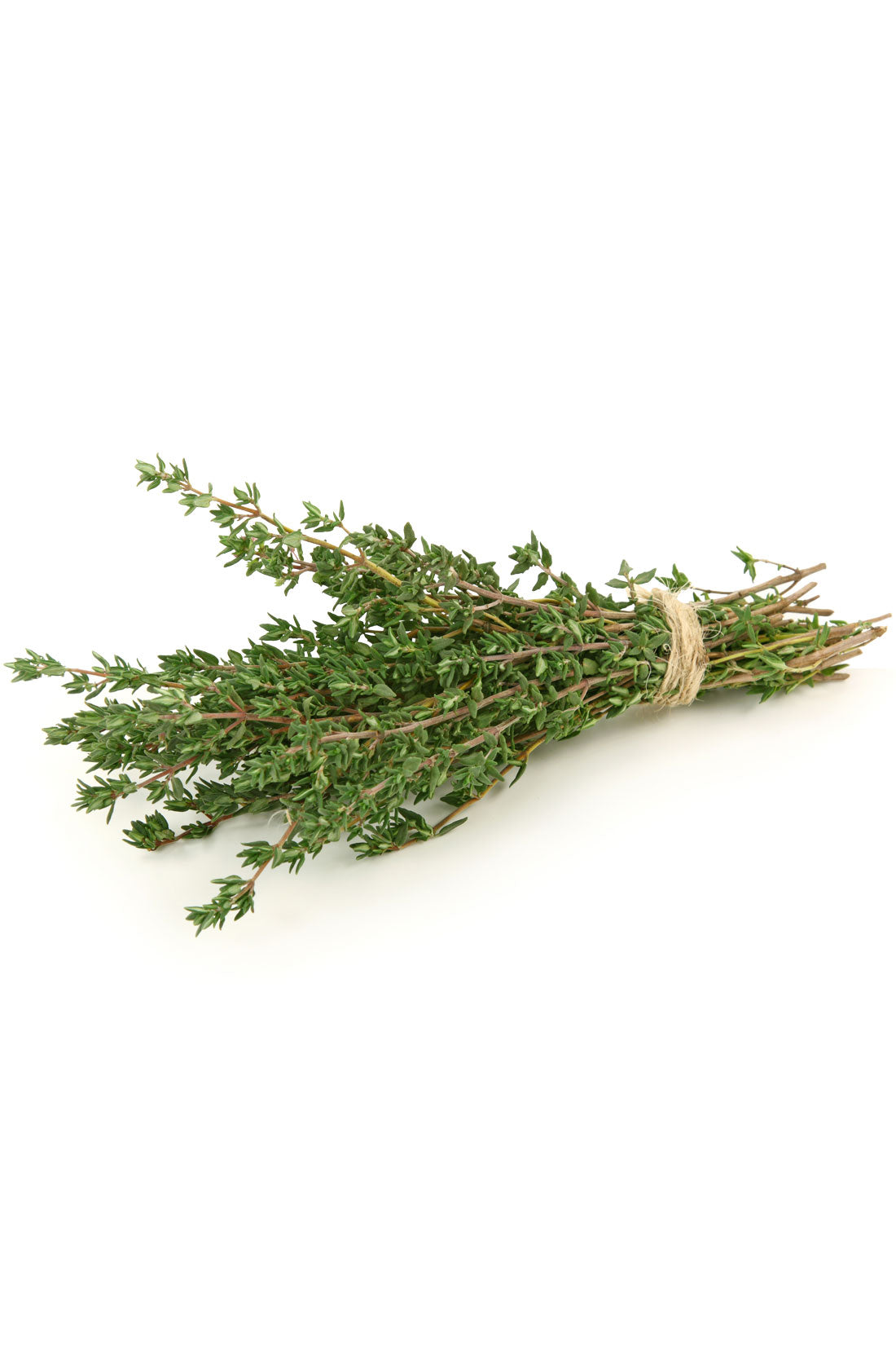 doTERRA Thyme Essential Oil