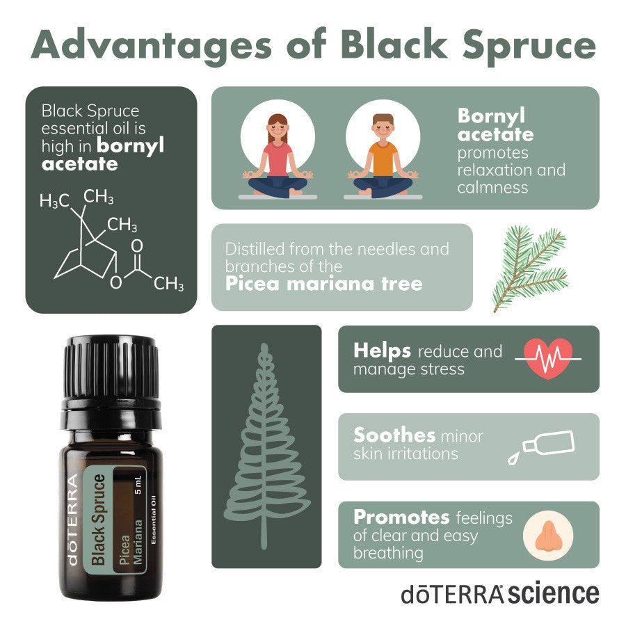 doTERRA Black Spruce Essential Oil