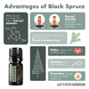 doTERRA Black Spruce Essential Oil